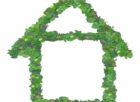 holistisk hälsa