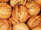fasta inflammation