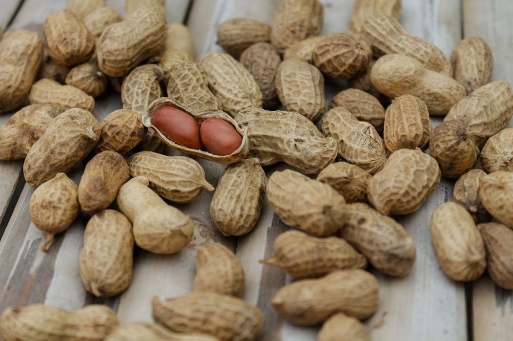 antiinflammatorisk frukost