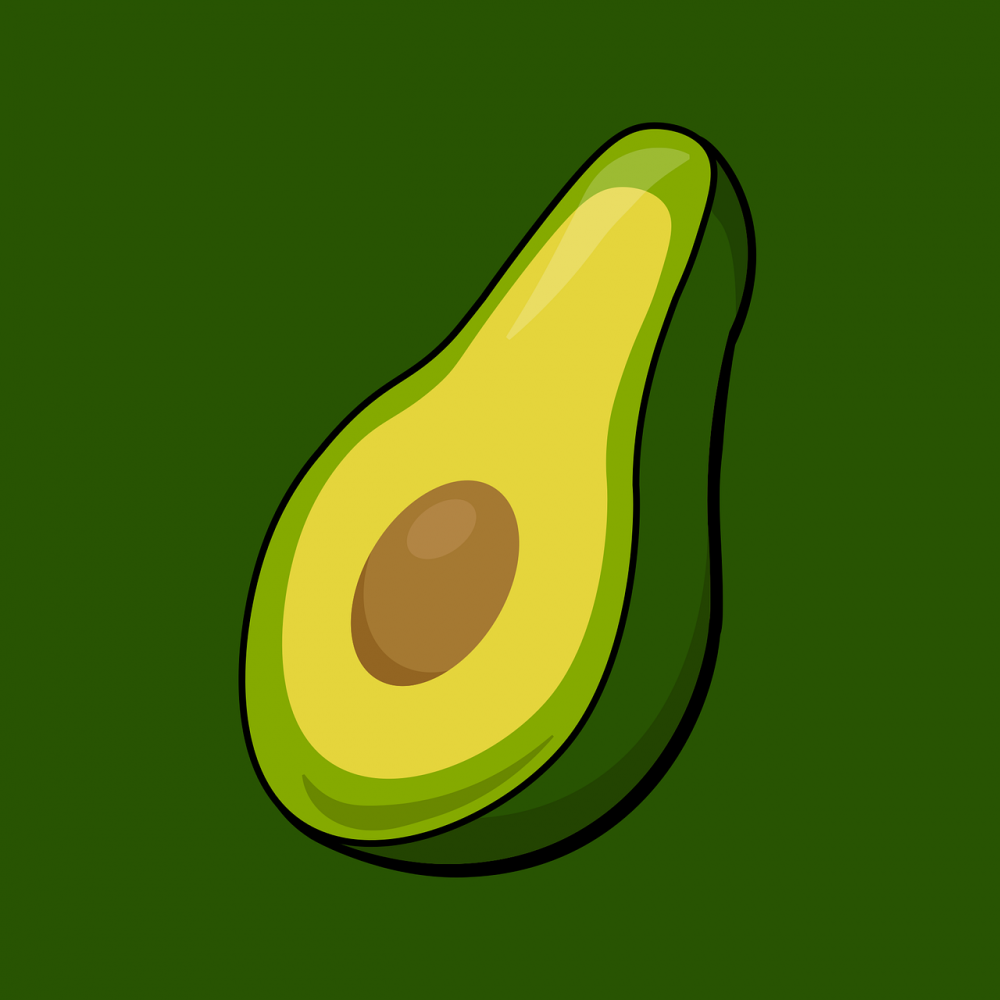 diet protein